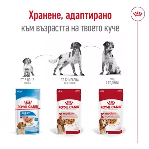 Royal Canin Dog Medium Ageing 10+ - Паучове за възрастни кучета от средни породи над 10г